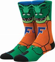 Image result for Florida Socks