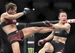 Image result for MMA Kick