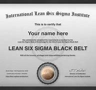 Image result for Lean Six Sigma Master Black Belt