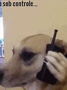 Image result for Dog Holding iPhone