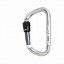 Image result for Auto Lock Carabiners