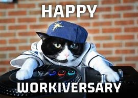 Image result for Work Anniversary Cat Meme