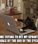 Image result for Sprint Goals Meme