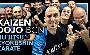 Image result for Jiu Jitsu Kaizen Ha Ir