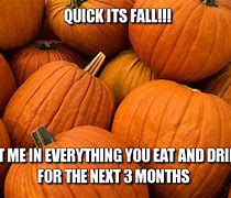 Image result for Fall Weekend Meme