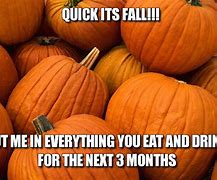 Image result for Fall Facts Memes