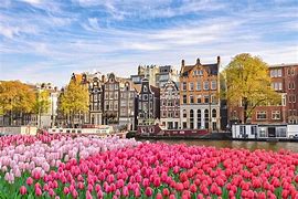 Image result for Beautiful Netherlands