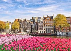 Image result for Beautiful Netherlands