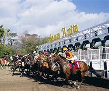 Image result for Santa Anita Gate 5