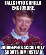 Image result for Zookeeper Meme