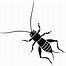 Image result for Cricket Insect Cartoon Art