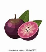 Image result for Star Apple Fruit with Leaf Clip Art