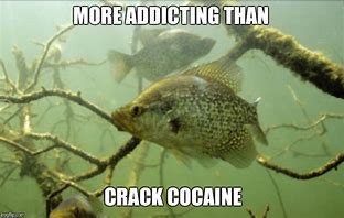 Image result for Crappie Fishing Memes