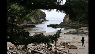 Image result for Graveyard of the Pacific