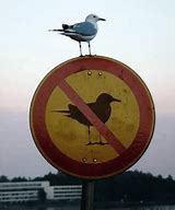 Image result for What Is This Sign