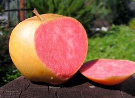 Image result for Pink Pearl Apple Inside Walpaper