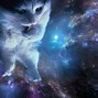 Image result for Astronaut Cat Space Wallpaper