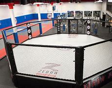 Image result for MMA Cage Fighting