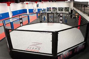 Image result for Boxing Cage