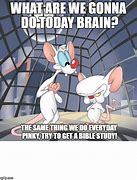 Image result for Pinky Abd the Brain Meme