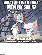 Image result for Pinky and the Brain Map Meme