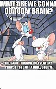 Image result for Pinky and the Brain Meme