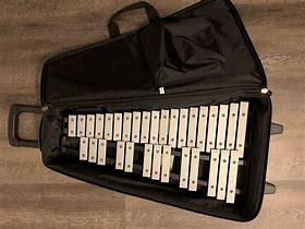 Image result for Pearl Xylophone Case