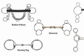 Image result for Different Horse Bits