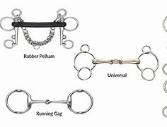 Image result for Spade Bit Horse Bridle