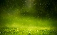 Image result for Green Rain iPhone Wallpaper