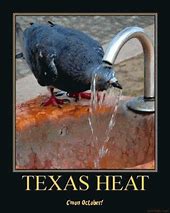 Image result for How Hot Texas Ice Machine Meme