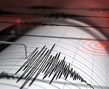 Image result for Earthquake Monitor