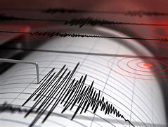 Image result for Earthquake Monitoring System