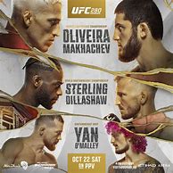 Image result for UFC 300 Poster