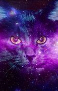 Image result for Purple Cat Galaxy