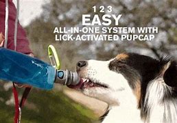 Image result for Portable Dog Water Bottle