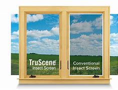 Image result for Bug Screen for Windows