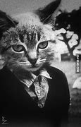Image result for Business Cat Classy Meme