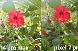 Image result for iPhone vs Galaxy vs Pixel