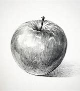 Image result for A Sketch of an Apple