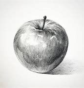 Image result for Pencil Sketch of Apple