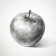 Image result for Drawing Apple Fruit Images