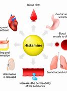 Image result for Histamine