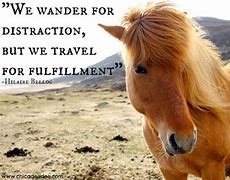 Image result for Funny Travel Quotes and Sayings