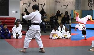 Image result for Isshinryu Karate Stances