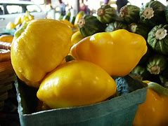 Image result for Types Patty Pan Squash Identify