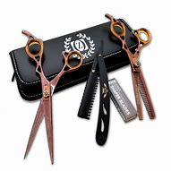 Image result for Best Japanese Hair Cutting Scissors