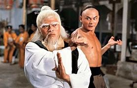 Image result for Japanese Kung Fu Movies