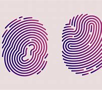 Image result for Fingerprint Patterns