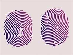 Image result for Fingerprint Identification